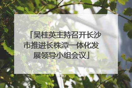 吴桂英主持召开长沙市推进长株潭一体化发展领导小组会议